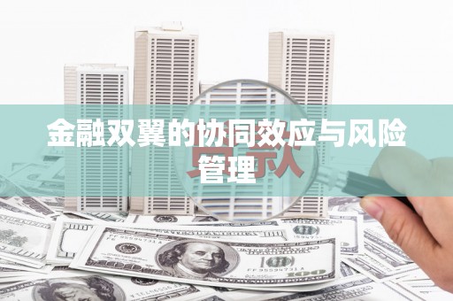 天水金融双翼的协同效应与风险管理
