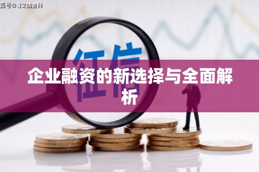 天水企业融资的新选择与全面解析
