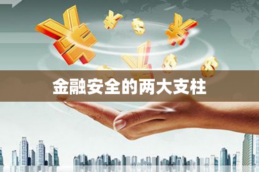 天水金融安全的两大支柱