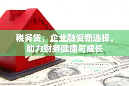 天水税务贷，企业融资新选择，助力财务健康与成长
