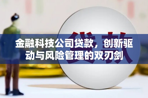 天水金融科技公司贷款，创新驱动与风险管理的双刃剑