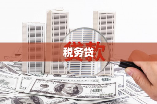 天水税务贷